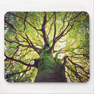 Tapis De Souris Étreindre d'arbre