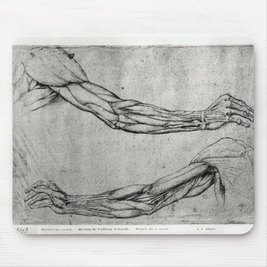 Tapis De Souris Étude des bras (Devant)