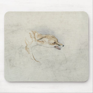 Tapis De Souris Étude d'un Fox de acroupissement, faisant face au