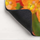 Tapis De Souris Euphorbe orange Mousepad (Coin)