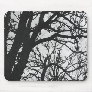 Tapis De Souris Europe, France, Paris. Arbres d'hiver, Marco