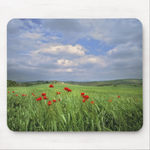 Tapis De Souris Europe, Toscane, Poggiolo. Coquelicots rouges ondu