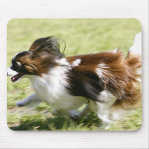 Tapis De Souris Exécution de Papillon