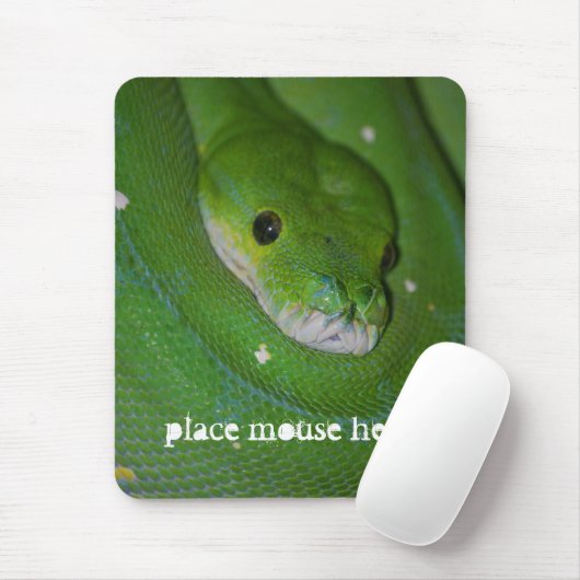 Tapis de souris exotique enroulé de serpent vert (Avec souris)
