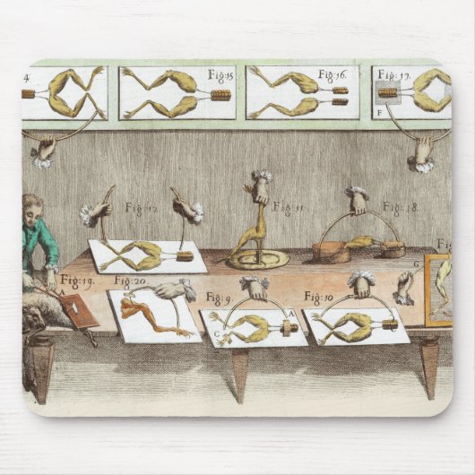 Tapis De Souris Expérience sur des grenouilles (Devant)