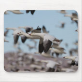 Tapis De Souris Exploser Dans Le Ciel Socorro (Devant)