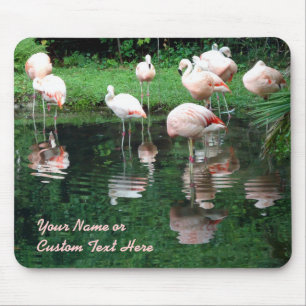 Tapis De Souris Extravagance de Flamant rose