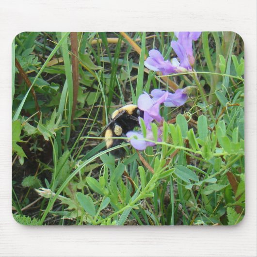 Tapis De Souris F2 Bee sur Fleurs sauvages violets (Devant)