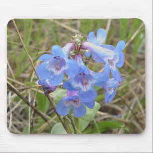 Tapis De Souris F3 Bleus Fleurs Sauvages Mince Blue Beardtongue