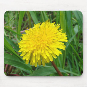Tapis De Souris F45 Pissenlit "Taraxacum Officinale"
