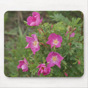 Tapis De Souris F46 Roses sauvages