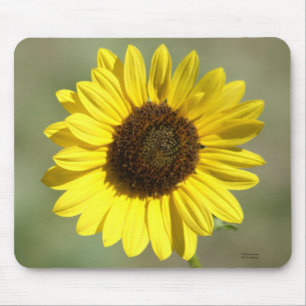 Tapis De Souris F47 Fleur sauvage jaune Tournesol annuel commun