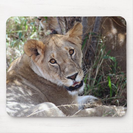 Tapis De Souris face de lion (Devant)
