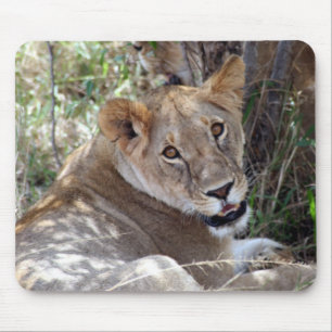 Tapis De Souris face de lion