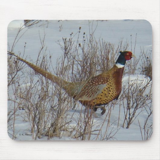 Tapis De Souris Faisan B23 Anneau-étranglé dans la neige (Devant)
