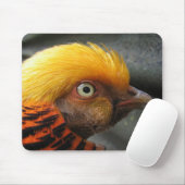 Tapis de souris Faisan doré (Avec souris)