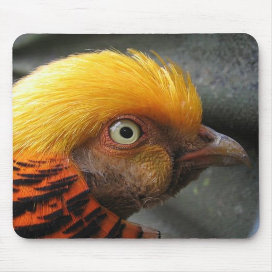 Tapis de souris Faisan doré (Devant)