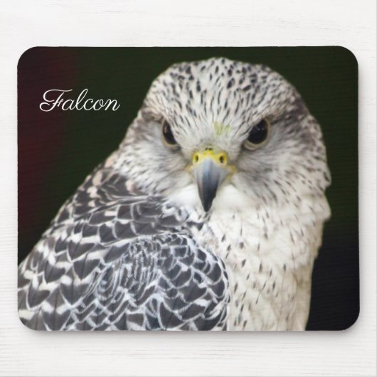 Tapis De Souris Falcon (Devant)