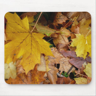 Tapis De Souris Fallen Maple Feuille Jaune Automne Nature