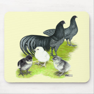 Tapis De Souris Famille Blue Sumatra