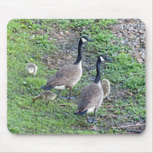 Tapis De Souris Famille canadienne d'oies