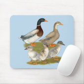 Tapis De Souris Famille de canards de Saxe (Avec souris)