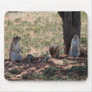 Tapis De Souris Famille de Chiens de Prairie