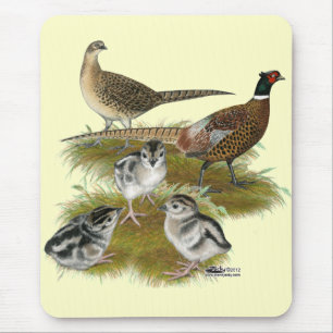 Tapis De Souris Famille de faisans à collier