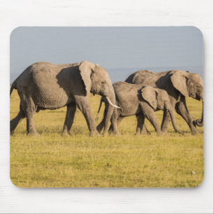 Tapis De Souris Famille d'éléphants en marche
