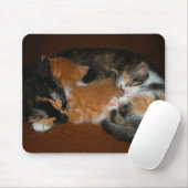 Tapis De Souris Famille des chatons somnolents (Avec souris)