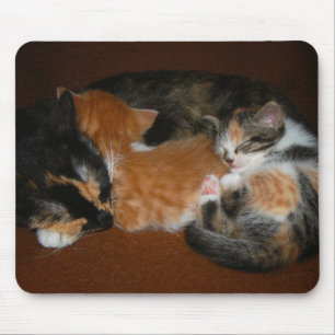 Tapis De Souris Famille des chatons somnolents