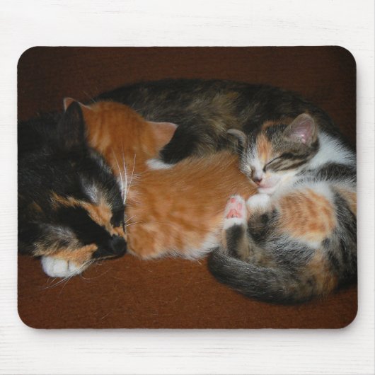 Tapis De Souris Famille des chatons somnolents (Devant)
