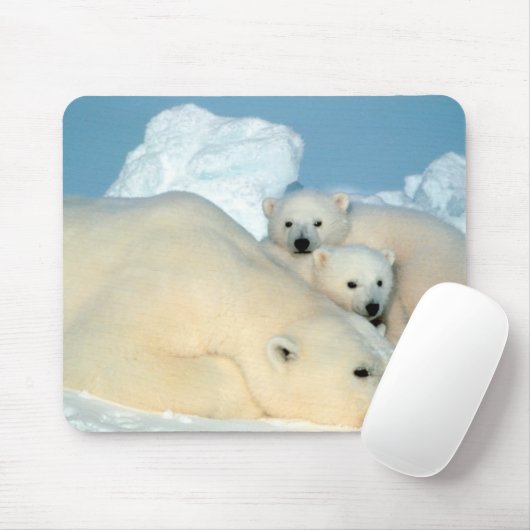 Tapis De Souris Famille d'ours blanc (Avec souris)