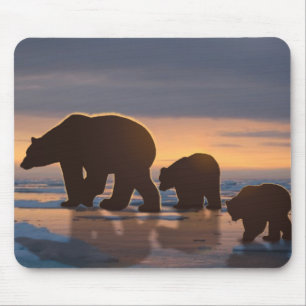 Tapis De Souris Famille d'ours polaires