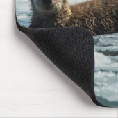 Tapis De Souris Famille Sea Otter (Coin)