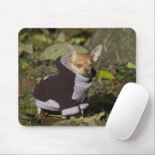 Tapis De Souris Fancy Chihuahua (Avec souris)