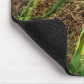 Tapis De Souris Fanned Tulip....... (Coin)
