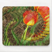 Tapis De Souris Fanned Tulip....... (Devant)