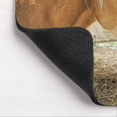 Tapis De Souris Farm Horse Munching on Some Hay (Coin)