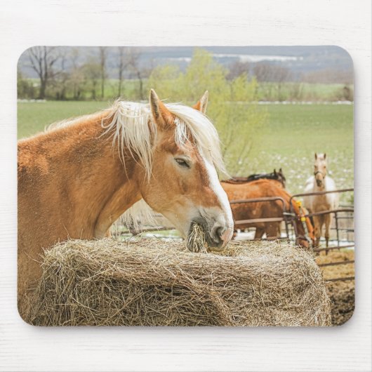 Tapis De Souris Farm Horse Munching on Some Hay (Devant)