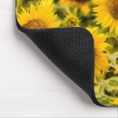 Tapis De Souris Farms | A Sunflower (Coin)