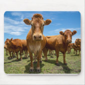 Tapis De Souris Farms | Brown cow (Devant)