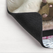TAPIS DE SOURIS FATBOY BABUSHKA MOUSEPAD (Coin)
