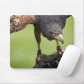 Tapis De Souris faucon (Avec souris)