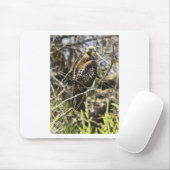Tapis De Souris Faucon de Redtailed (Avec souris)