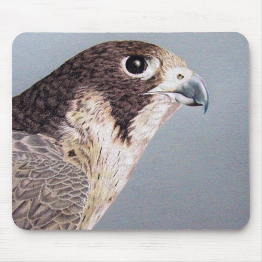 Tapis De Souris Faucon pèlerin (Devant)