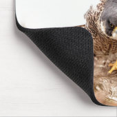 Tapis De Souris Faucon pèlerin (Coin)