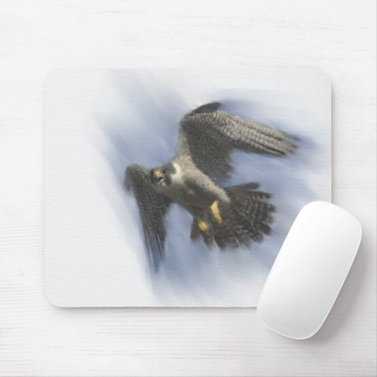 Tapis De Souris Faucon pérégrin en vol (Avec souris)