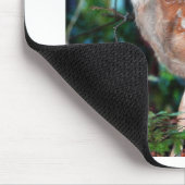 Tapis De Souris Faune (Coin)