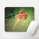 Tapis De Souris Faune (Avec souris)
